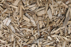 biomass boilers Bengeo